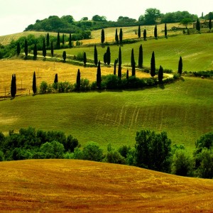 tuscany1.900x0.jpg